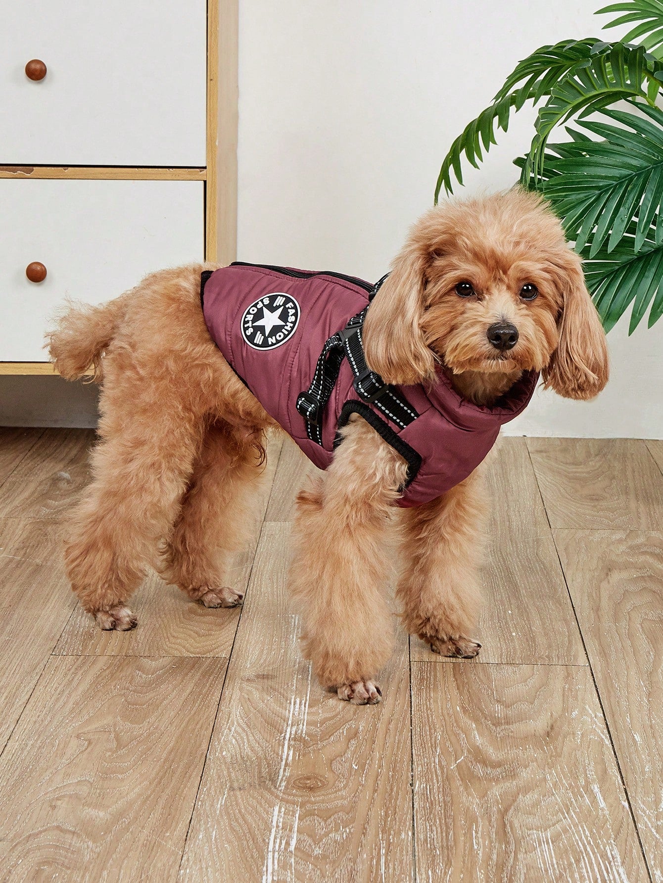 1個 犬用ハーネスベスト リード付き、防水 パッド入り 冬用ウォームアウトフィット