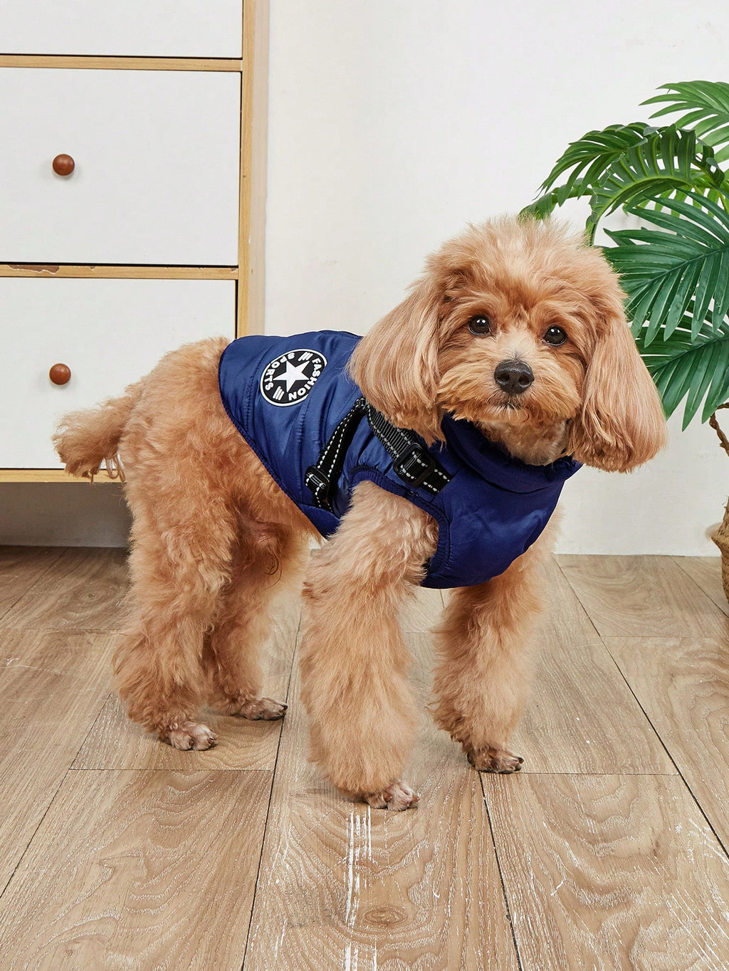 1個 犬用ハーネスベスト リード付き、防水 パッド入り 冬用ウォームアウトフィット