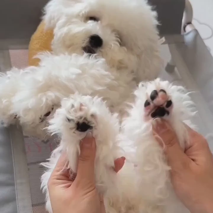 ペット用静音トリマー - USB充電式、防水ペットグルーミングツール、低ノイズ電動クリッパー