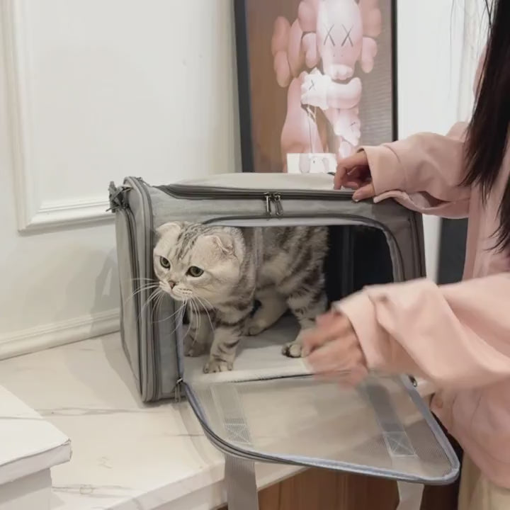 1個 通気性ペットキャリーバッグ 犬用 アウトドア 犬の外出 犬用品 子犬用 猫キャリー 犬キャリー 犬バッグ