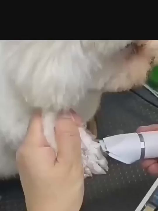 4in1 電動ペットグルーミングキット ネイルグラインダー付き 犬猫用 低ノイズ USB 充電式ワイヤレス 軽量多機能トリマー ホームペットケア